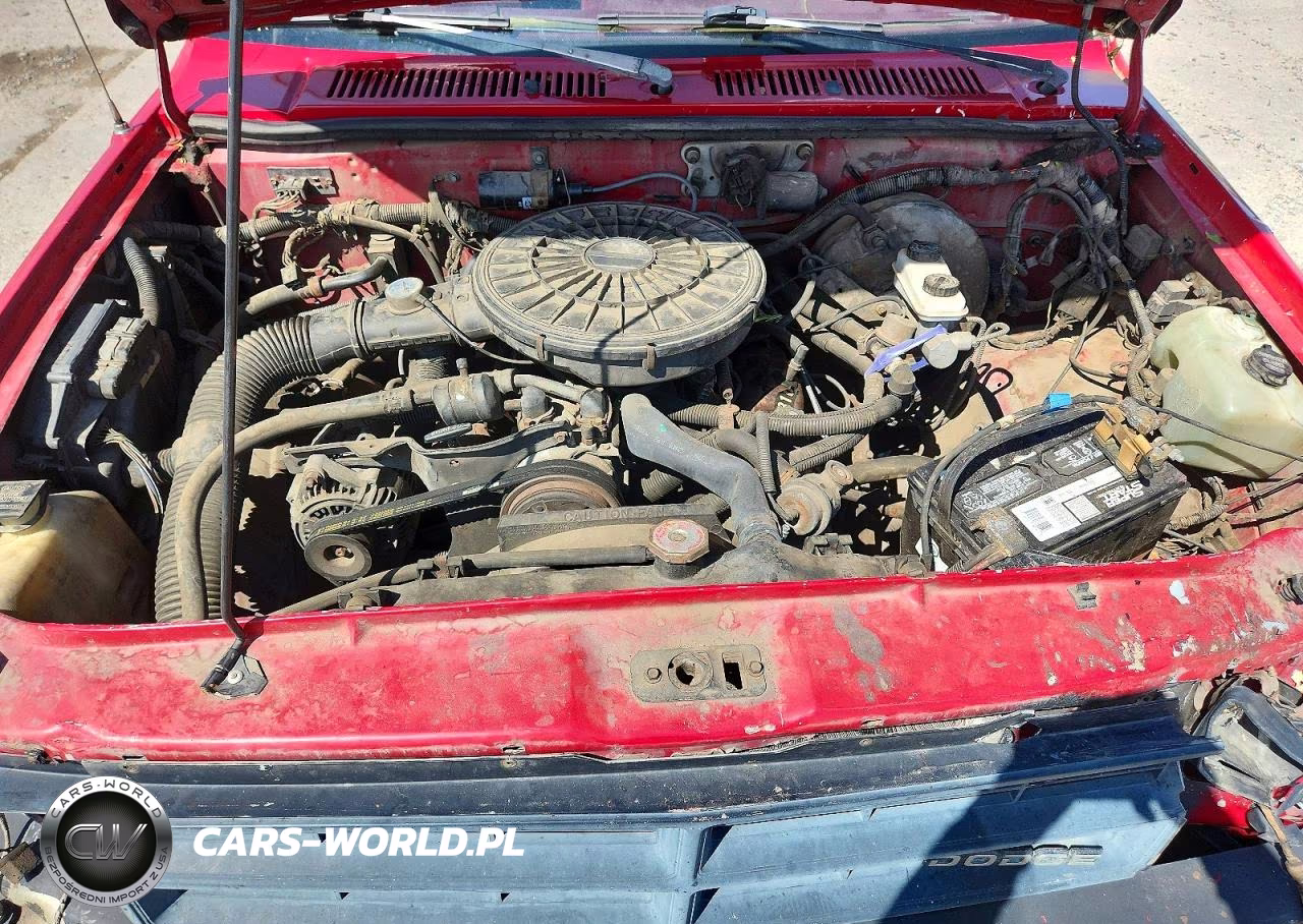 1989 Dodge Dakota Sport VIN:1B7GG69X5KS164669 - 11