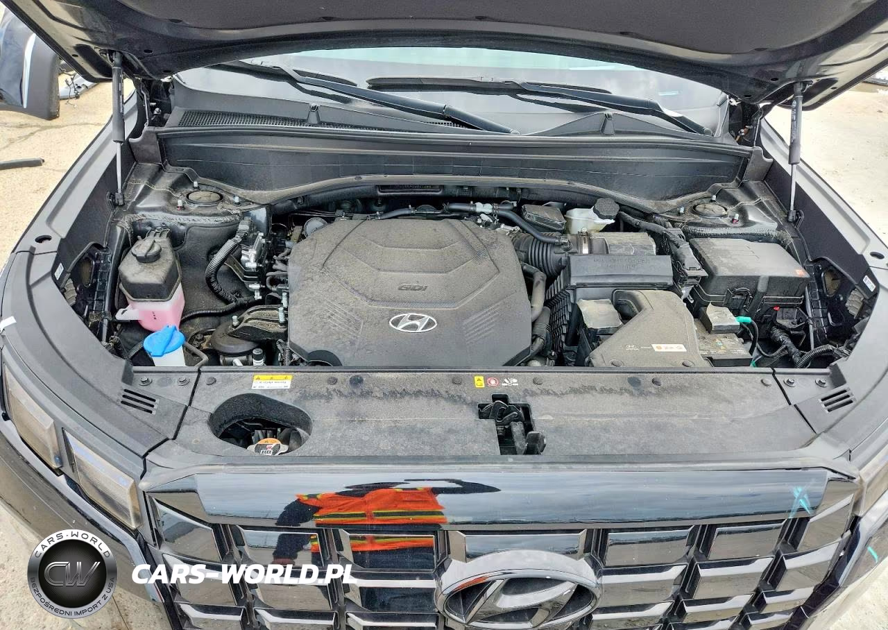 2025 Hyundai Palisade Limited VIN:KM8R5DGE4SU821384 - 12