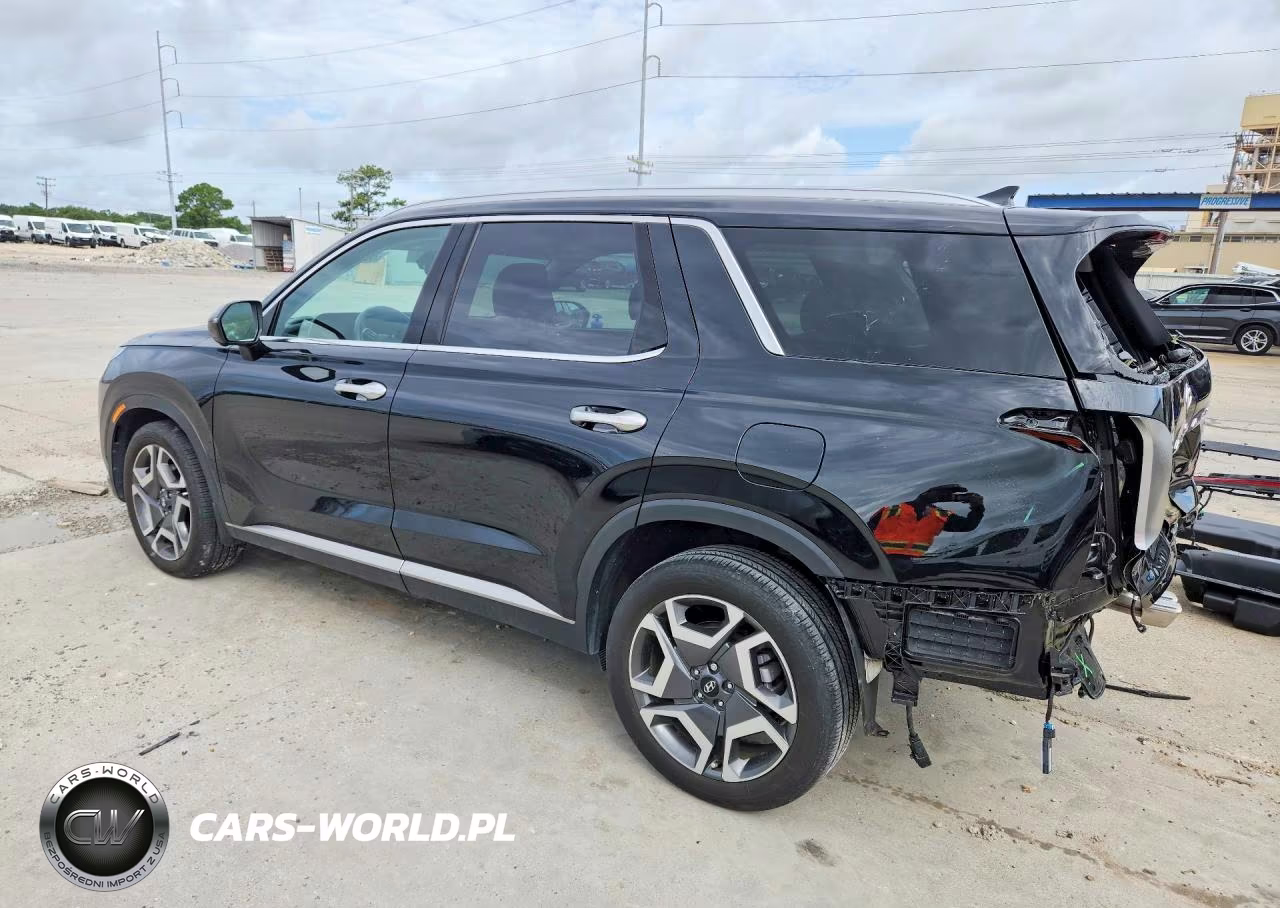2025 Hyundai Palisade Limited VIN:KM8R5DGE4SU821384 - 2