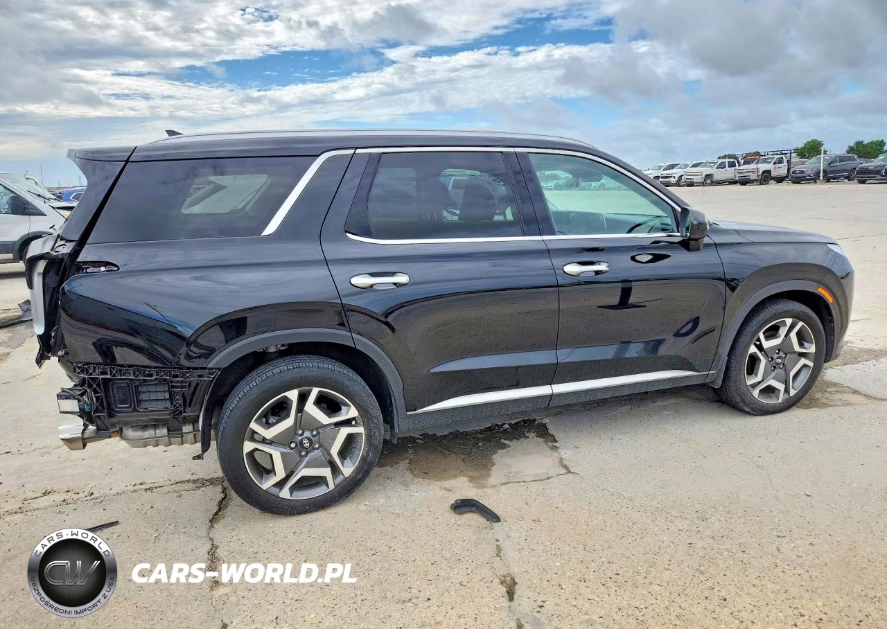 2025 Hyundai Palisade Limited VIN:KM8R5DGE4SU821384 - 3