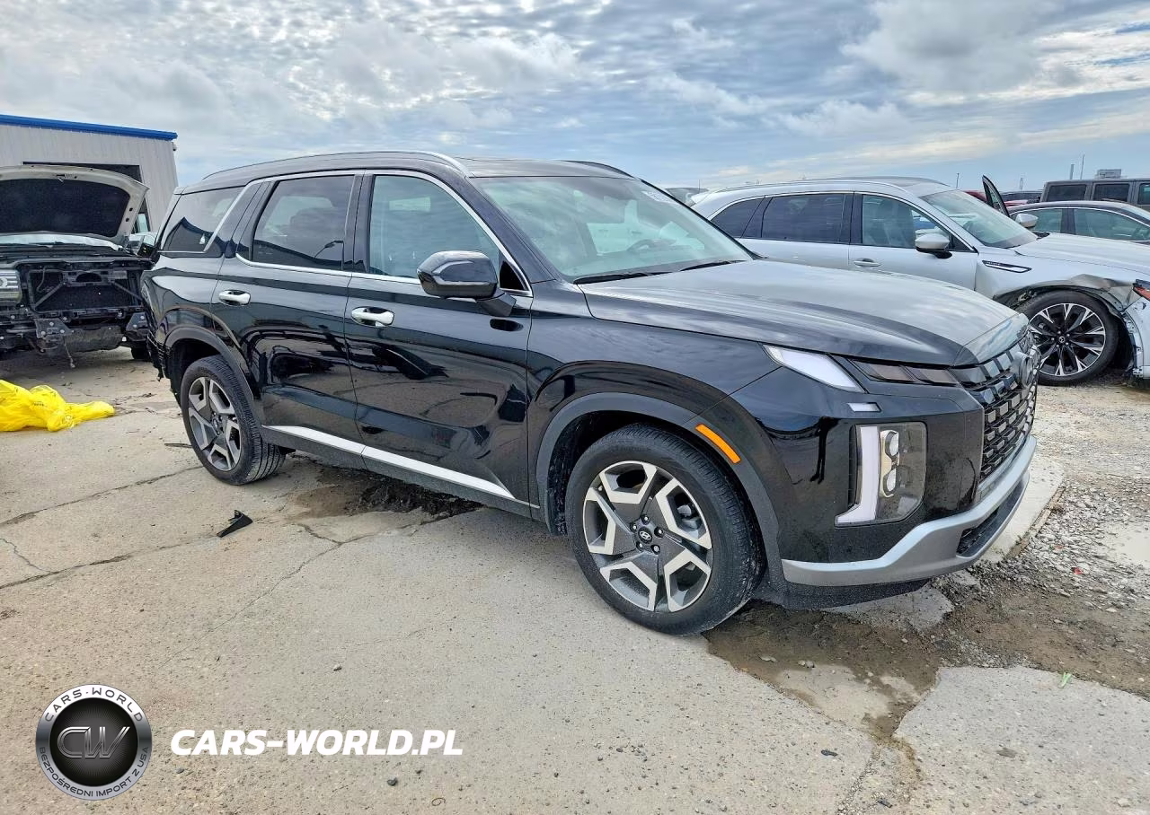 2025 Hyundai Palisade Limited VIN:KM8R5DGE4SU821384 - 4