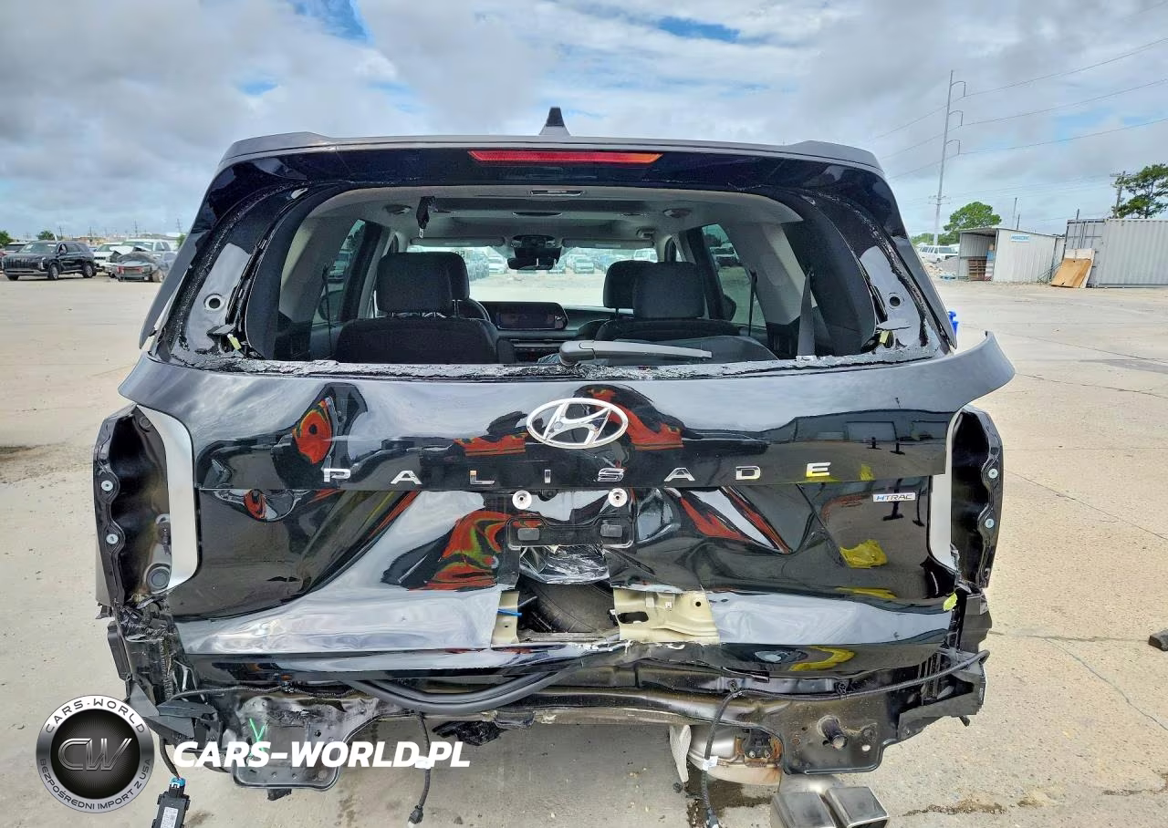 2025 Hyundai Palisade Limited VIN:KM8R5DGE4SU821384 - 6