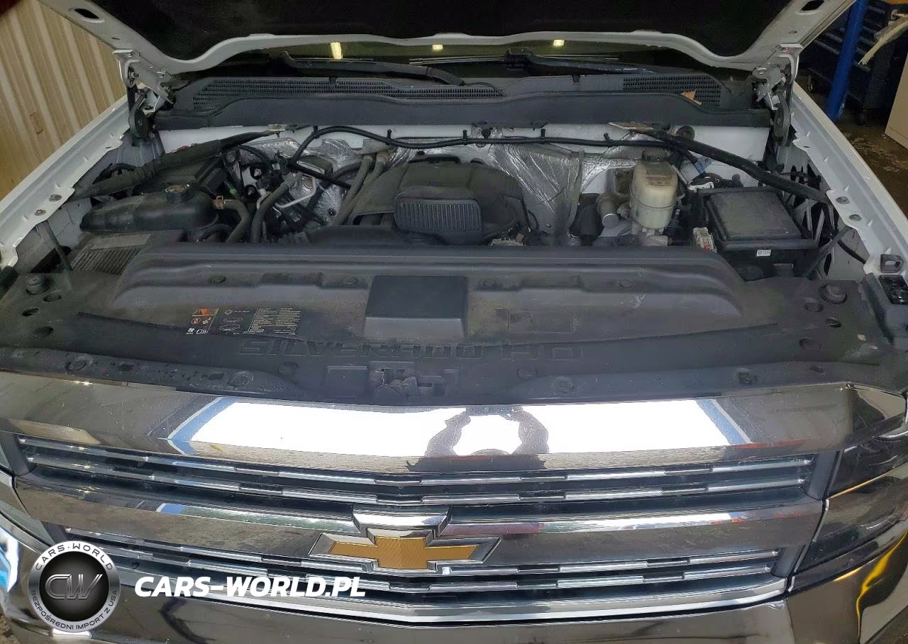 2017 Chevrolet Silverado C2500 Heavy Duty VIN:1GC0CUEG5HZ397197 - 11