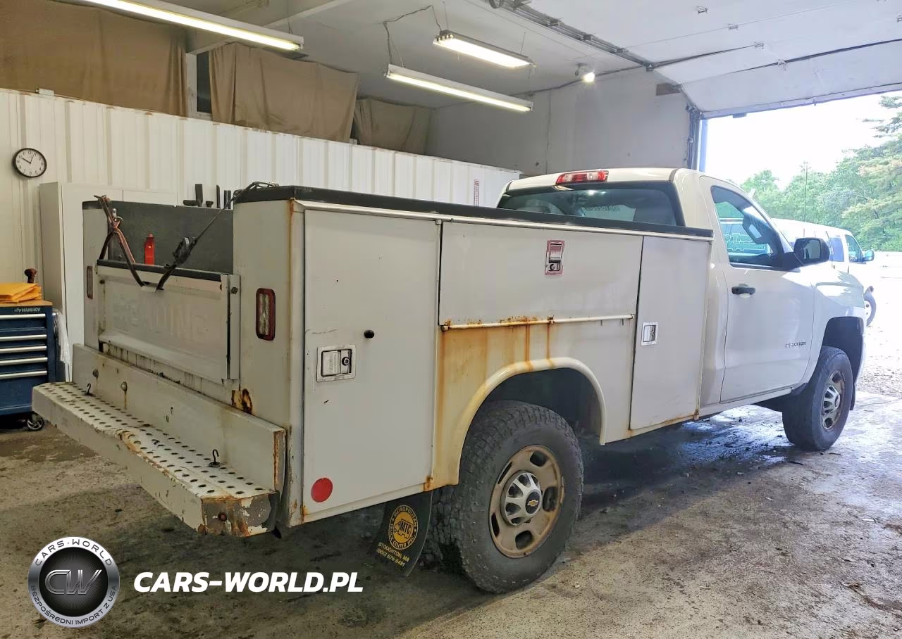 2017 Chevrolet Silverado C2500 Heavy Duty VIN:1GC0CUEG5HZ397197 - 3