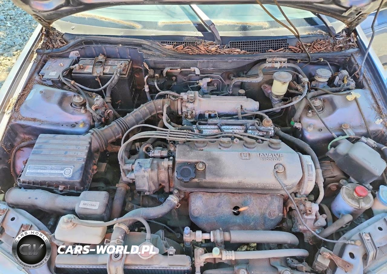 1994 Honda Civic Lx VIN:1HGEG8550RL029077 - 11