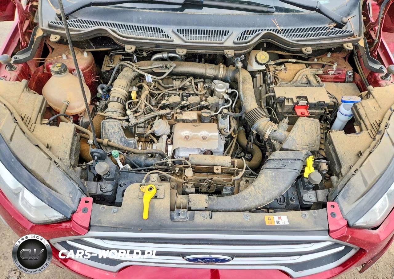 2021 Ford Ecosport Se VIN:MAJ3S2GE4MC438602 - 12