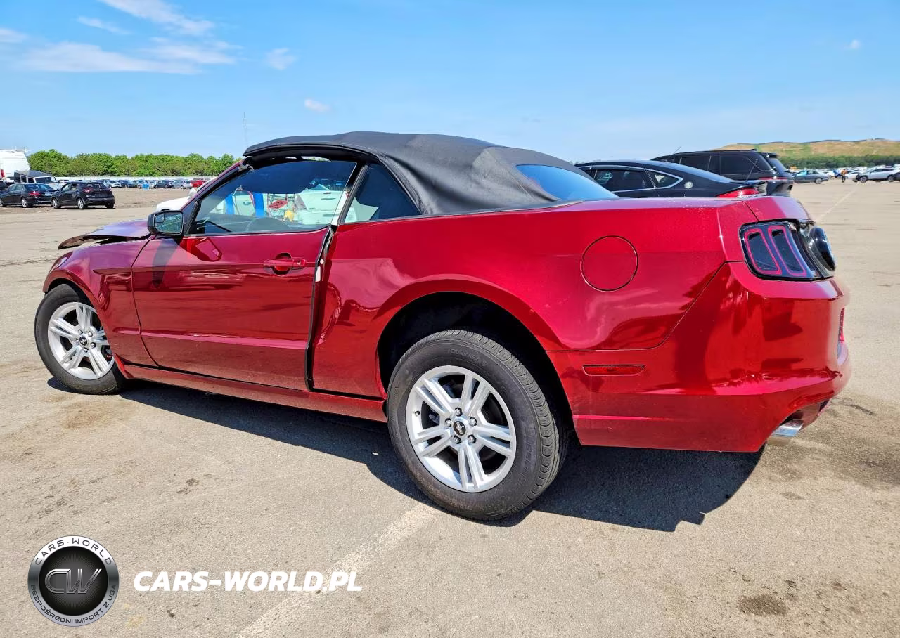 2014 Ford Mustang VIN:1ZVBP8EM2E5205499 - 2