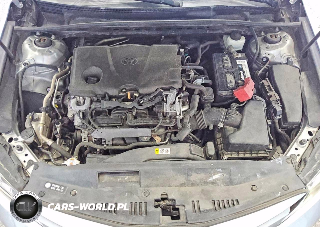 2019 Toyota Camry Le VIN:4T1B11HK7KU791491 - 11