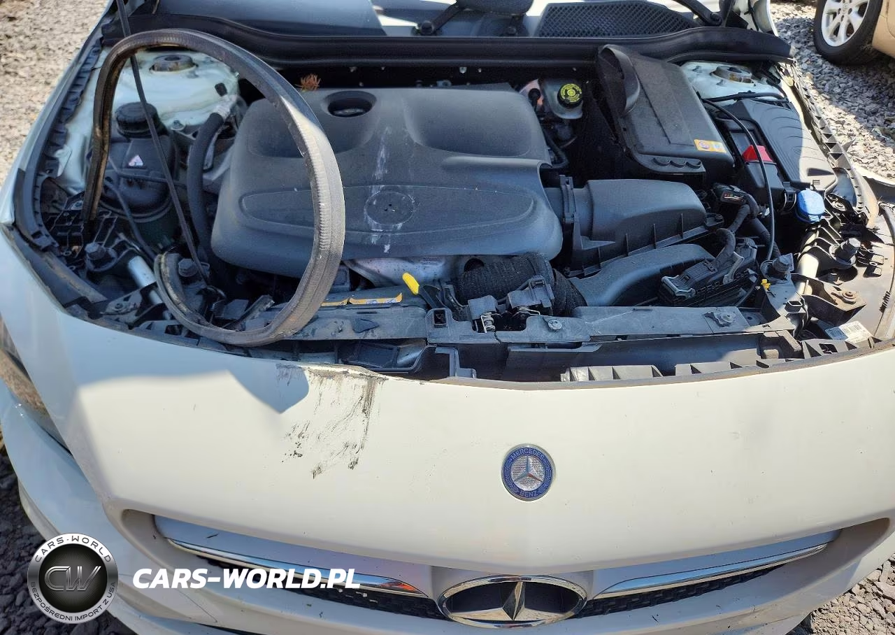 2014 Mercedes-Benz Cla 250 VIN:WDDSJ4EB9EN063525 - 11