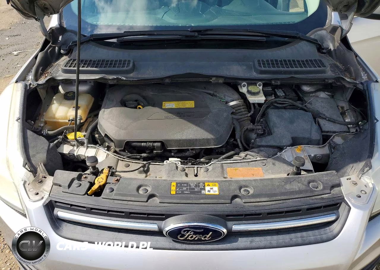 2013 Ford Escape Se VIN:1FMCU9GX1DUB72766 - 12