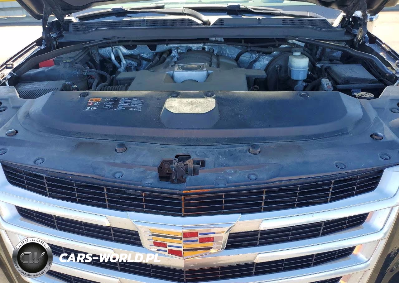 2016 Cadillac Escalade Luxury VIN:1GYS4BKJ1GR157552 - 12