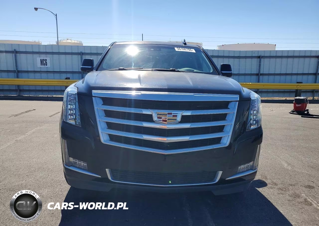 2016 Cadillac Escalade Luxury VIN:1GYS4BKJ1GR157552 - 5