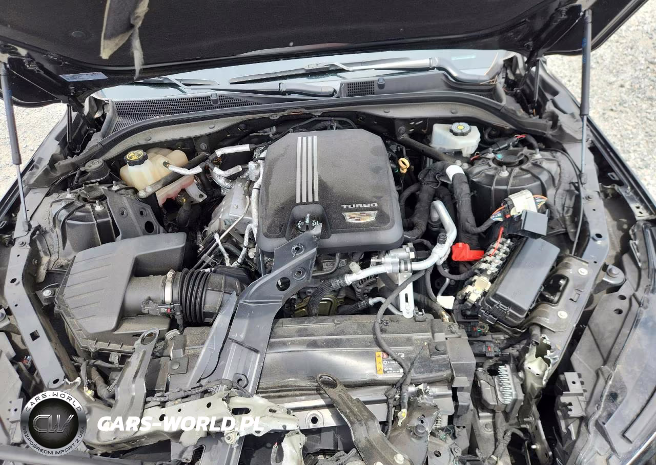 2020 Cadillac Ct5 Luxury VIN:1G6DM5RK9L0147240 - 11