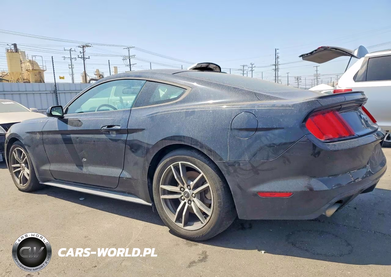 2017 Ford Mustang VIN:1FA6P8TH9H5340256 - 2