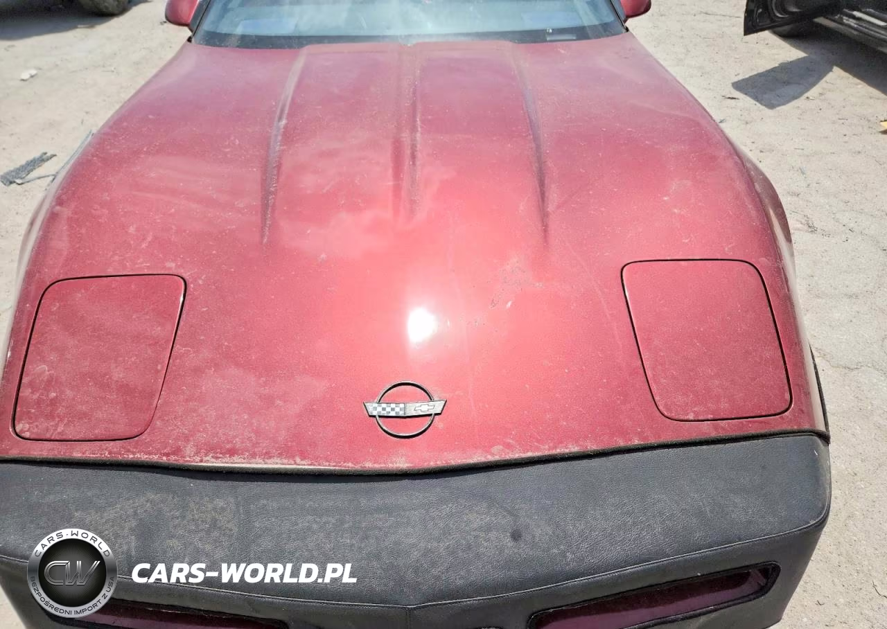 1987 Chevrolet Corvette VIN:1G1YY2183H5111533 - 11