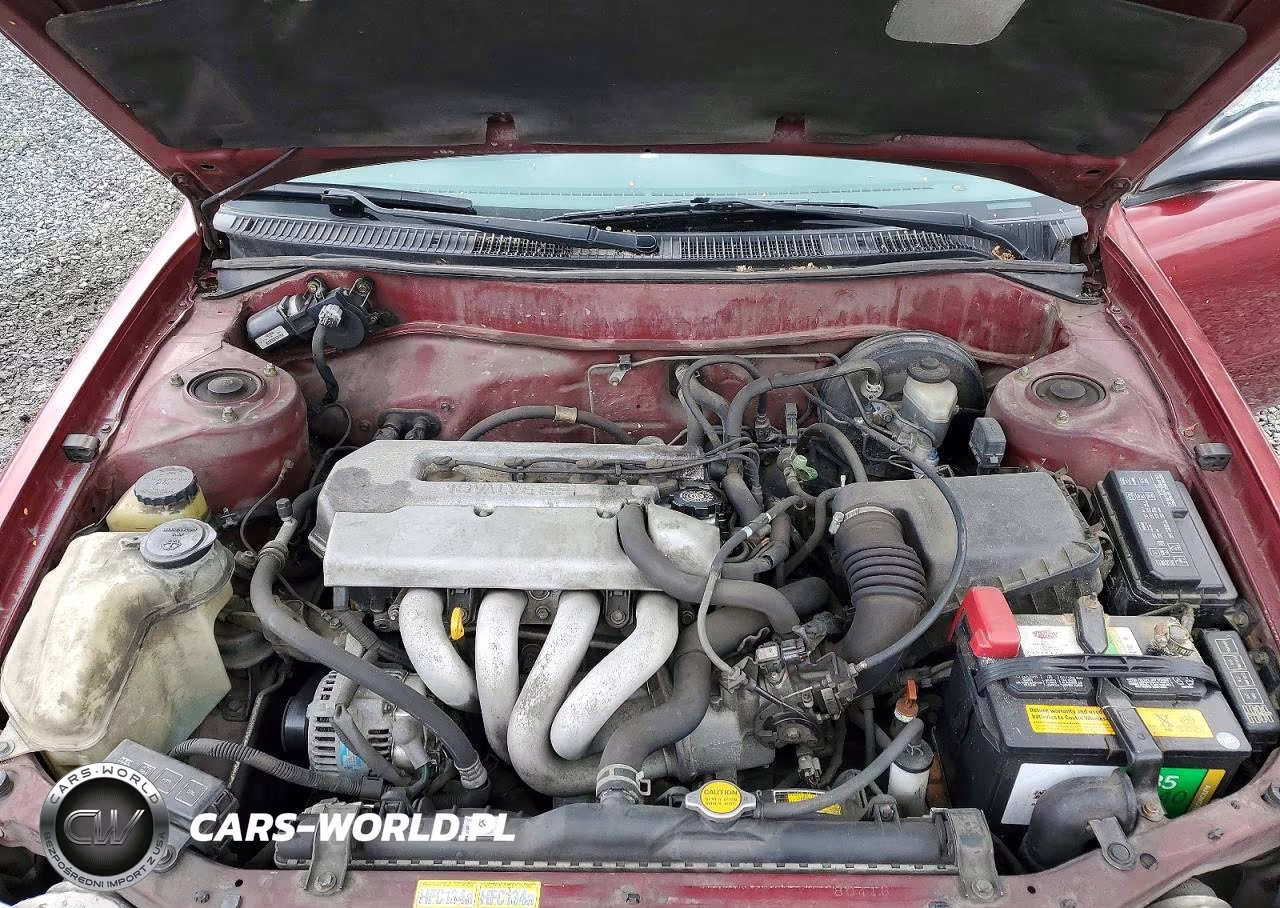 1999 Toyota Corolla Ve VIN:1NXBR12E1XZ277848 - 11
