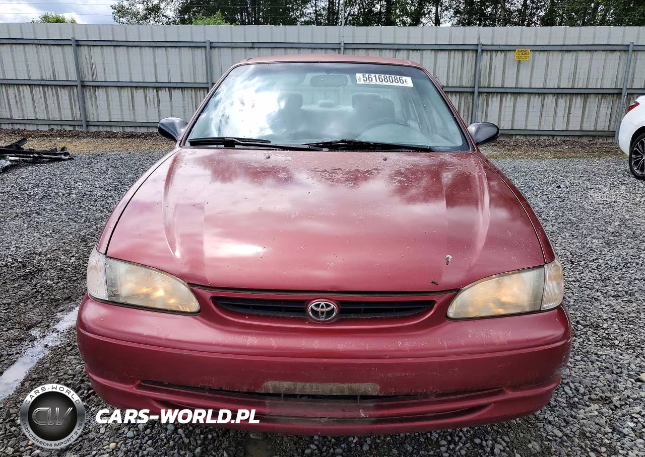 1999 Toyota Corolla Ve VIN:1NXBR12E1XZ277848 - 5