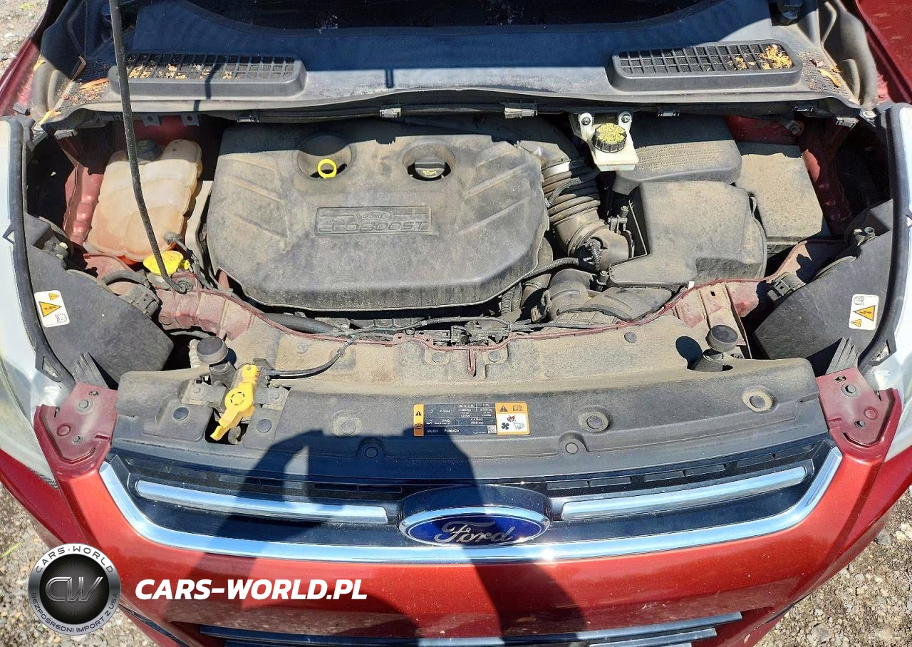 2014 Ford Escape Titanium VIN:1FMCU0J97EUC27065 - 12