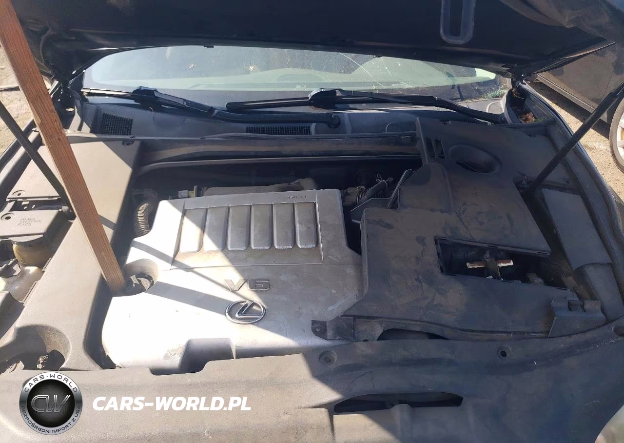2009 Lexus Es 350 VIN:JTHBJ46G392290316 - 11