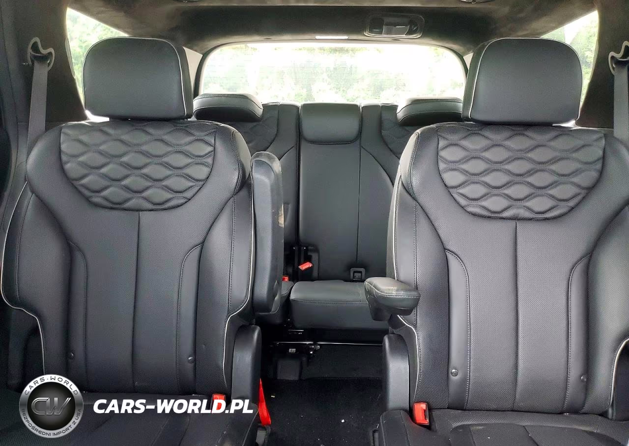 2021 Hyundai Palisade Calligraphy VIN:KM8R7DHE2MU325012 - 10