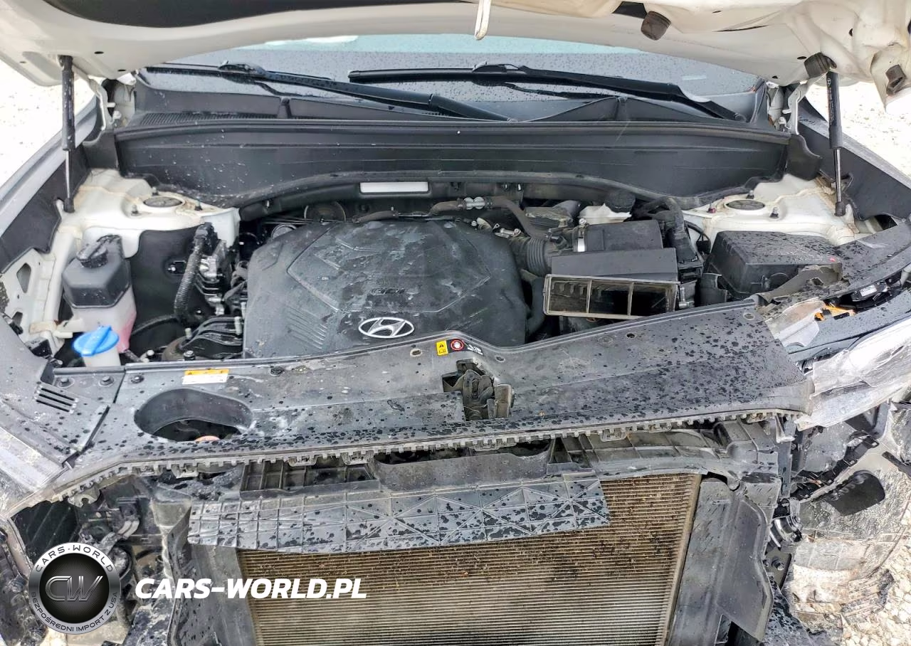 2021 Hyundai Palisade Calligraphy VIN:KM8R7DHE2MU325012 - 12