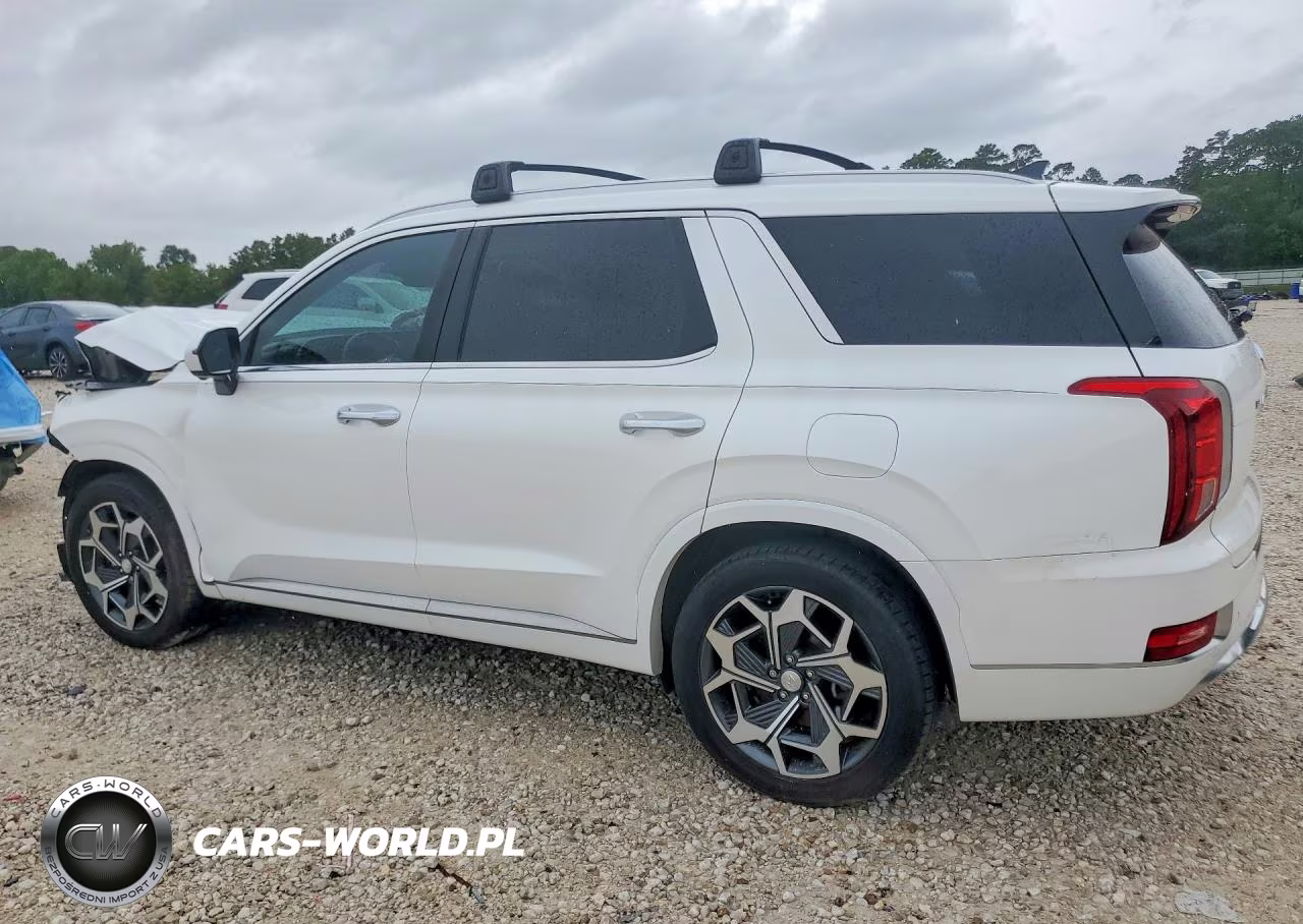 2021 Hyundai Palisade Calligraphy VIN:KM8R7DHE2MU325012 - 2
