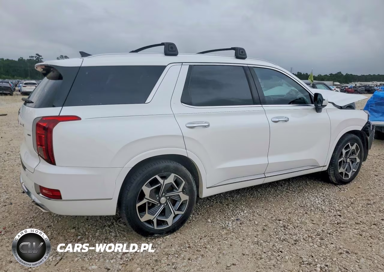 2021 Hyundai Palisade Calligraphy VIN:KM8R7DHE2MU325012 - 3