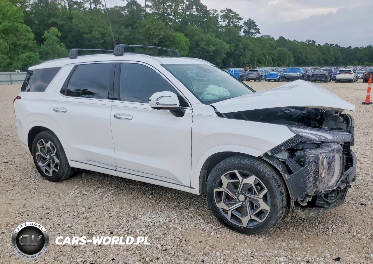 2021 Hyundai Palisade Calligraphy VIN:KM8R7DHE2MU325012 - 4
