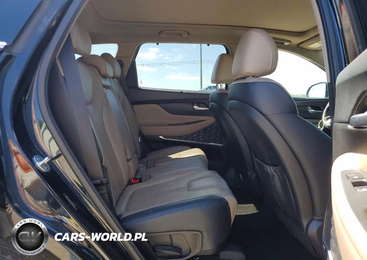 2020 Hyundai Santa Fe Limited VIN:5NMS53AD7LH250269 - 11