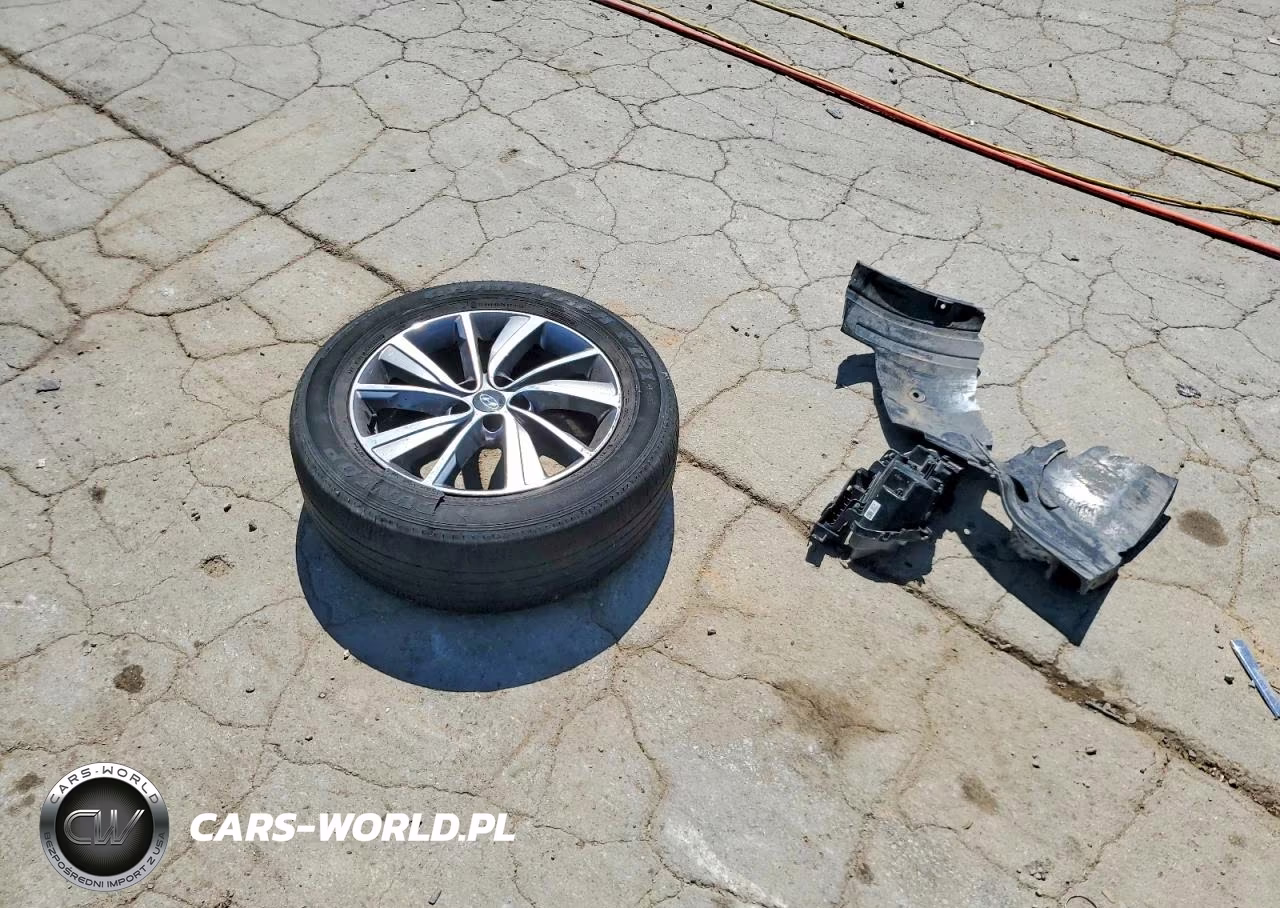 2020 Hyundai Santa Fe Limited VIN:5NMS53AD7LH250269 - 13