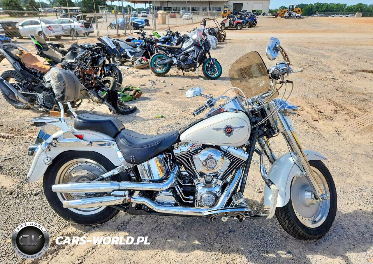 2002 Harley-Davidson Flstf