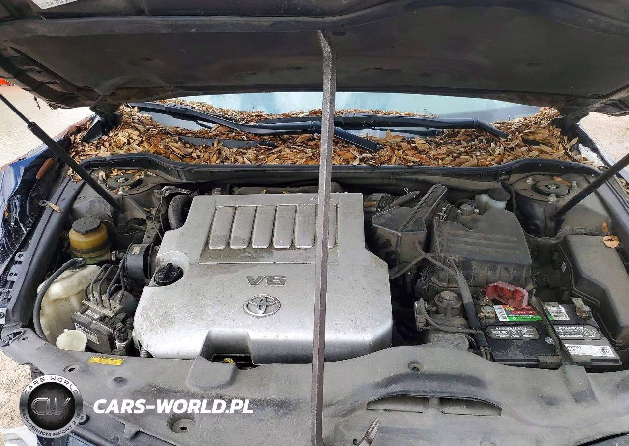 2007 Toyota Camry Xle V6 VIN:4T1BK46K57U542616 - 11