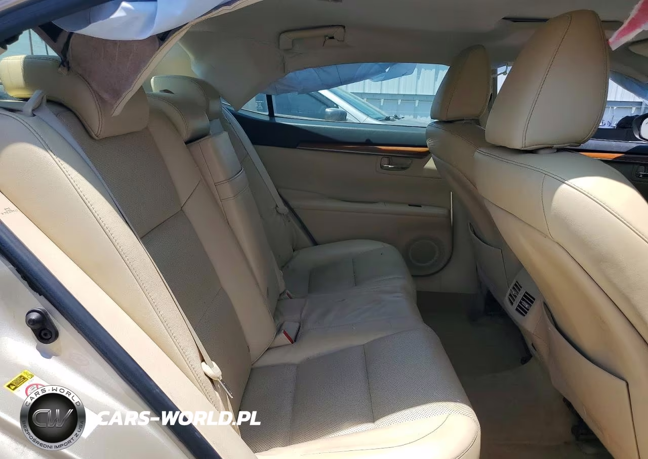 2013 Lexus Es 300H VIN:JTHBW1GG8D2012812 - 10