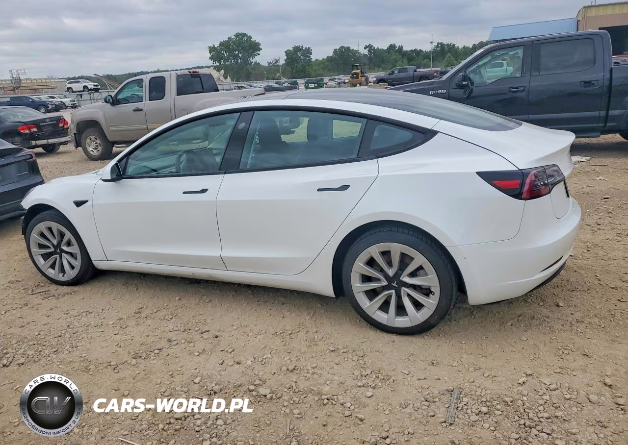 2023 Tesla Model 3 VIN:5YJ3E1EB6PF393576 - 2