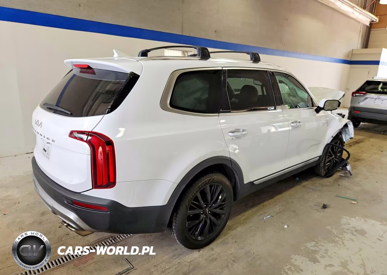 2022 Kia Telluride Sx VIN:5XYP54HC6NG281406 - 3
