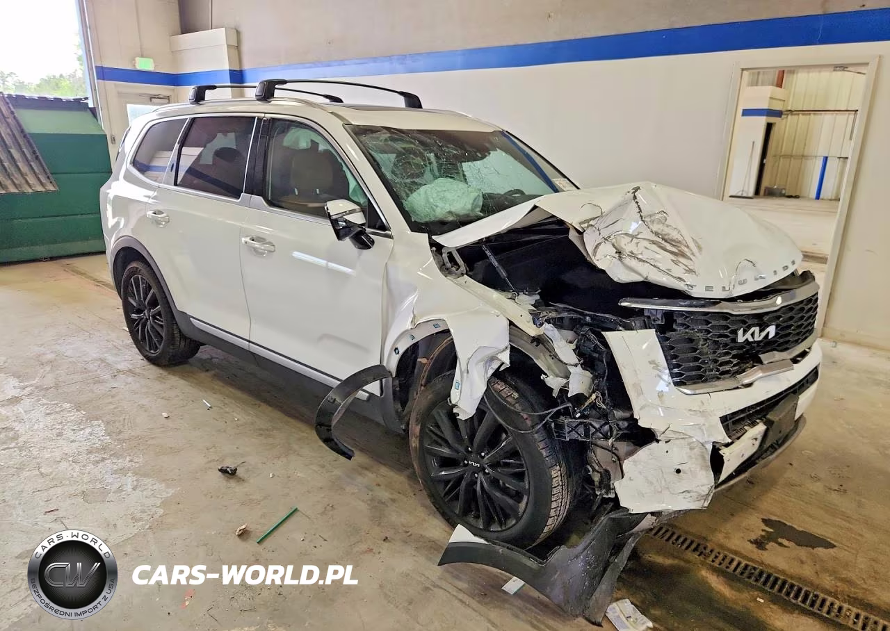 2022 Kia Telluride Sx VIN:5XYP54HC6NG281406 - 4