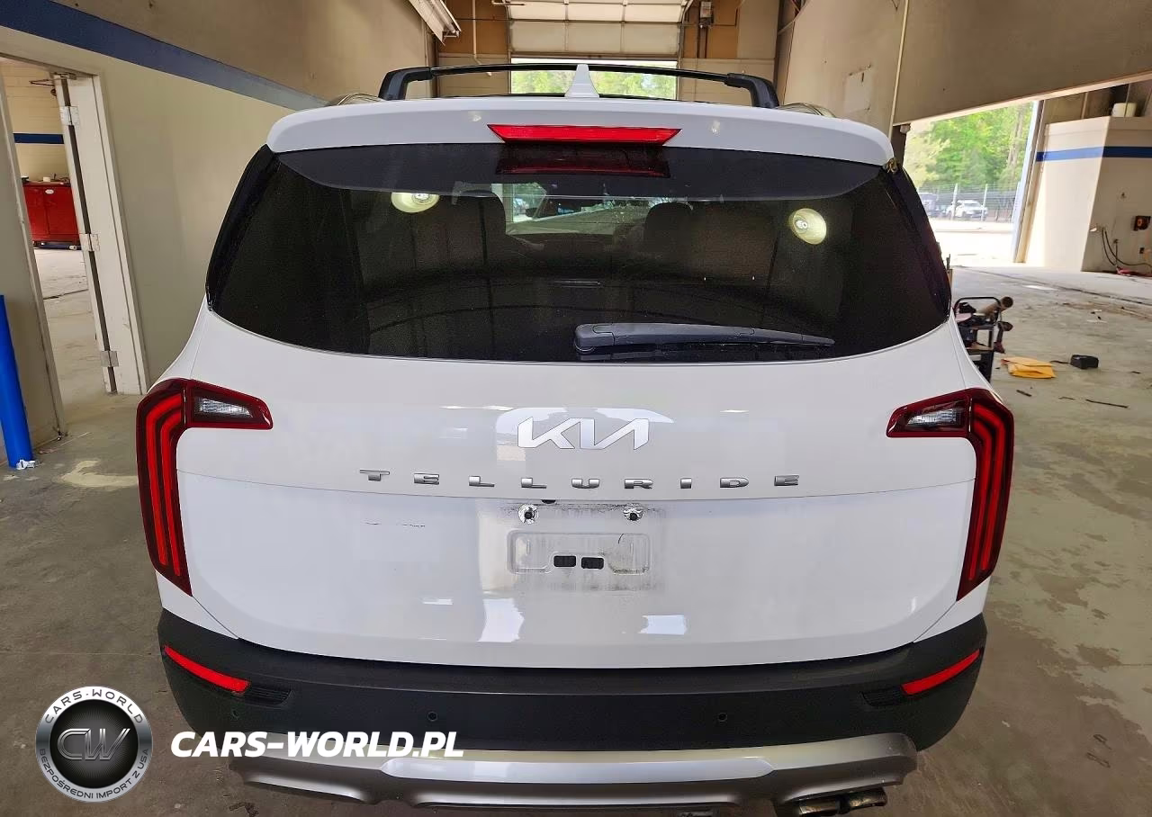 2022 Kia Telluride Sx VIN:5XYP54HC6NG281406 - 6
