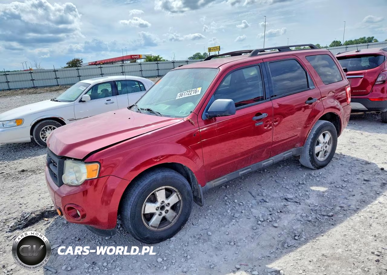 2010 Ford Escape Xlt