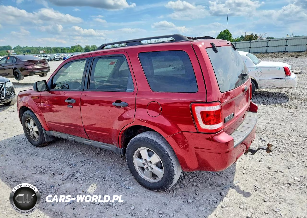 2010 Ford Escape Xlt VIN:1FMCU0DG8AKA08258 - 2