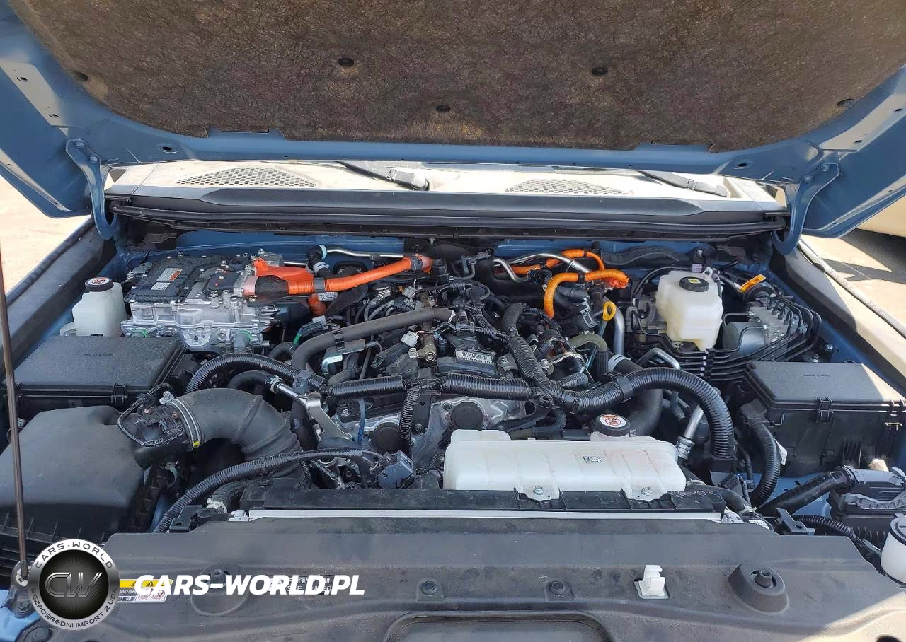 2024 Toyota Land Cruiser Base VIN:JTEABFAJ8RK015321 - 12