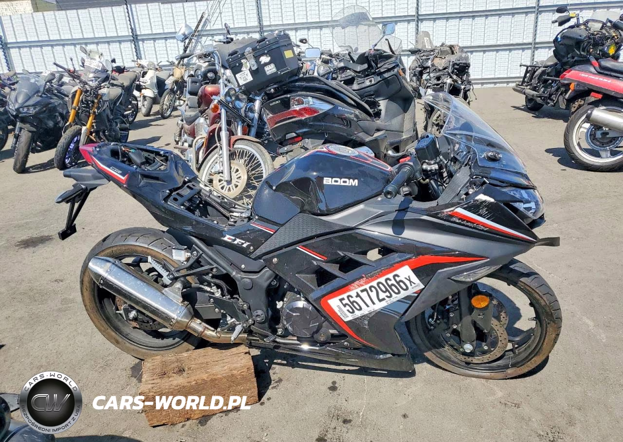 2025 Baod Boom VIN:L2BB5AAK5SB807048 - 1