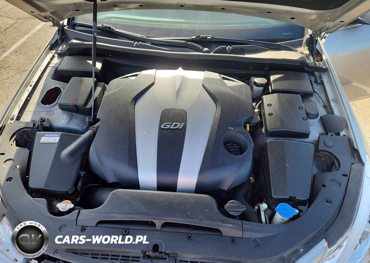 2013 Hyundai Genesis 3.8L VIN:KMHGC4DD0DU250245 - 11