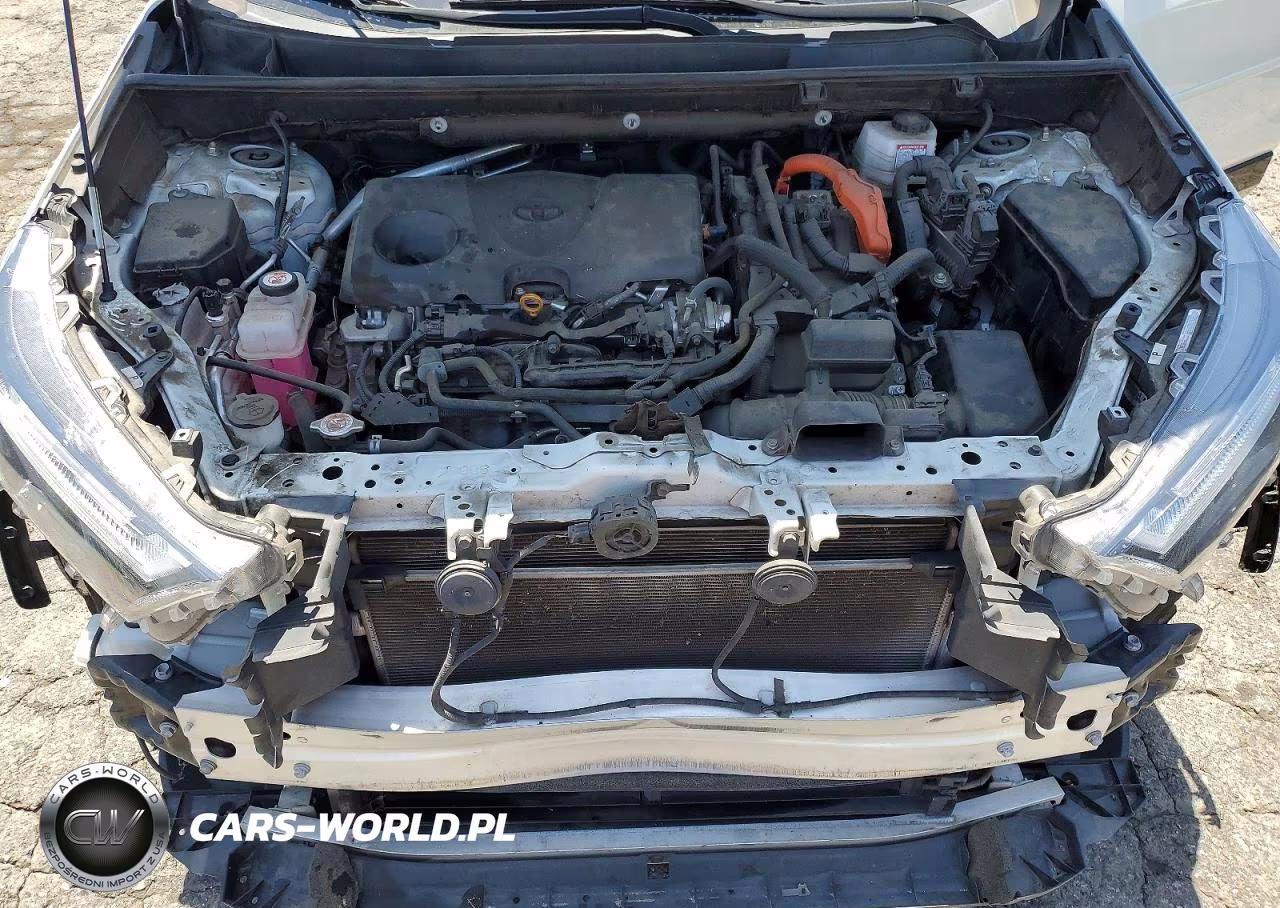 2022 Toyota Rav4 Se VIN:2T3T6RFV6NW036118 - 12