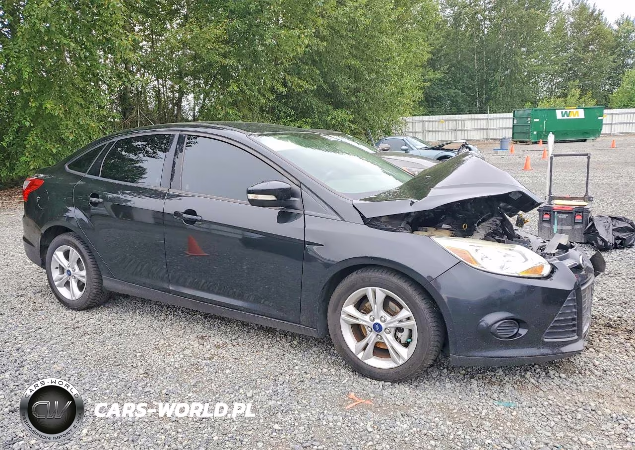 2014 Ford Focus Se VIN:1FADP3F20EL455241 - 4