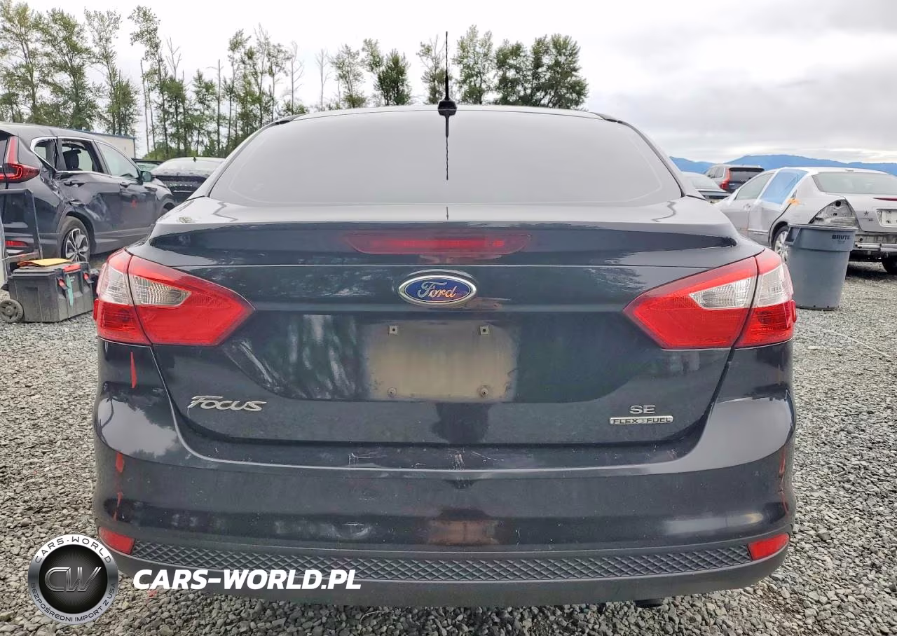 2014 Ford Focus Se VIN:1FADP3F20EL455241 - 6