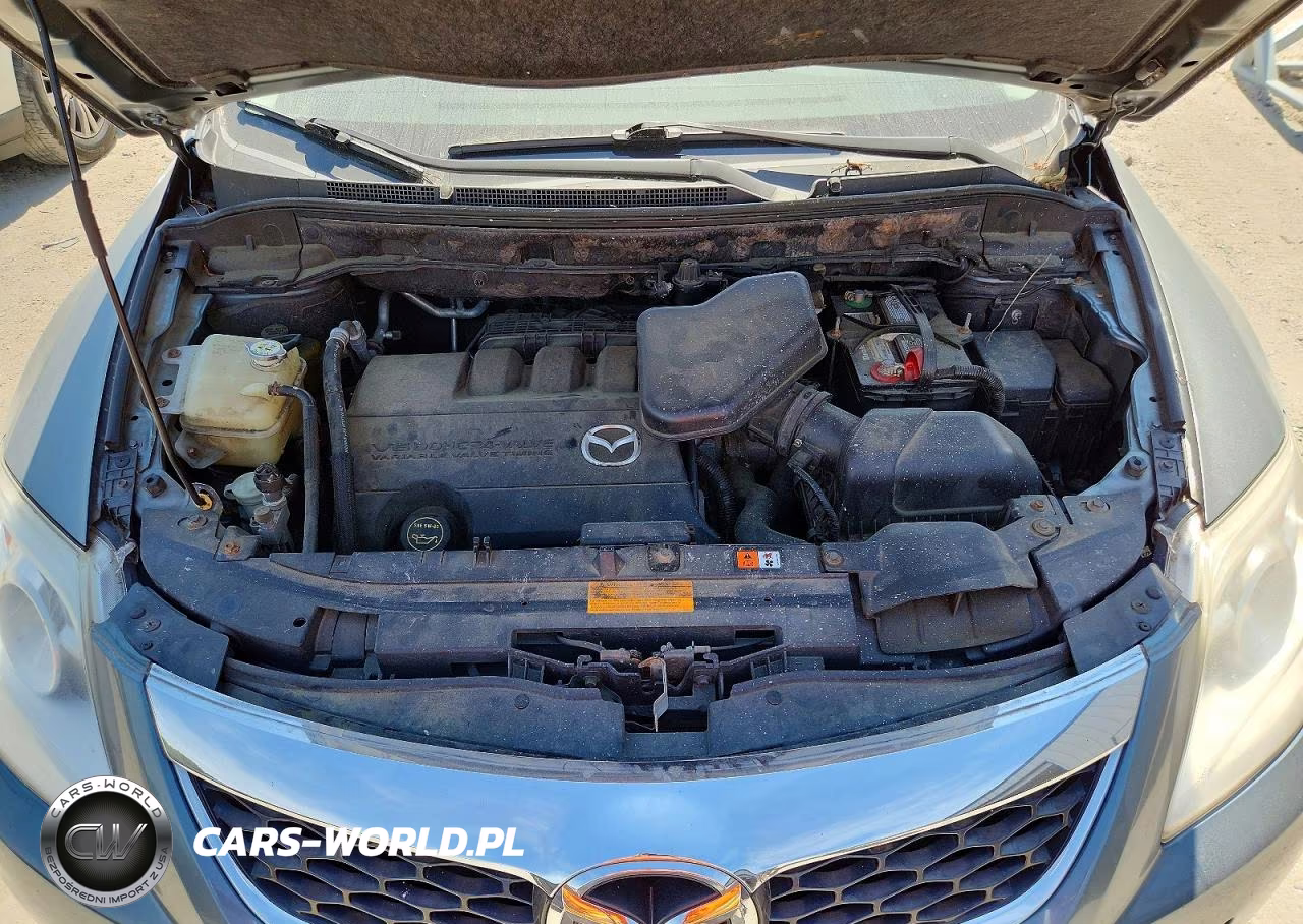 2010 Mazda Cx-9 VIN:JM3TB3MVXA0232922 - 12