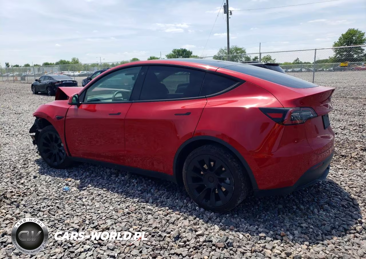 2023 Tesla Model Y VIN:7SAYGDEE2PF766482 - 2