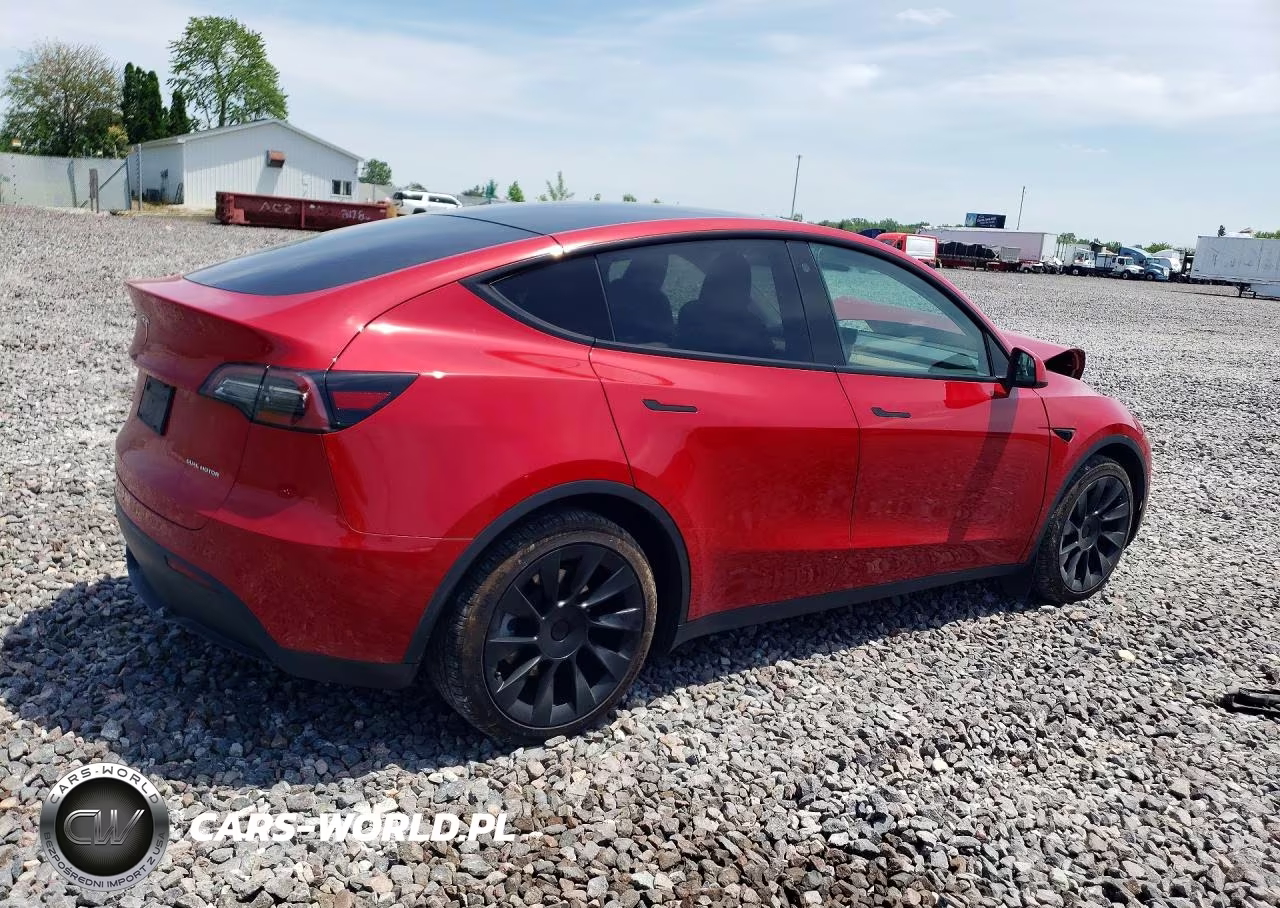 2023 Tesla Model Y VIN:7SAYGDEE2PF766482 - 3