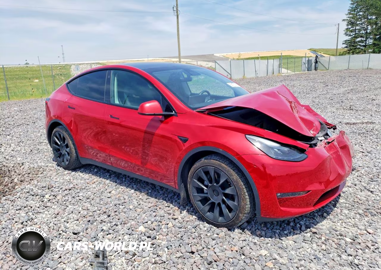 2023 Tesla Model Y VIN:7SAYGDEE2PF766482 - 4