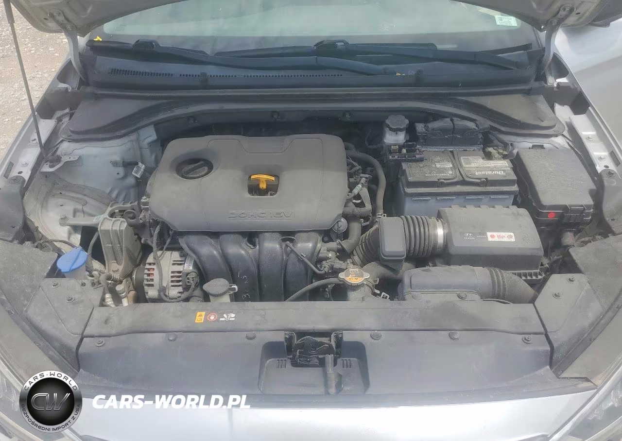 2019 Hyundai Elantra Sel VIN:5NPD84LF2KH423007 - 12